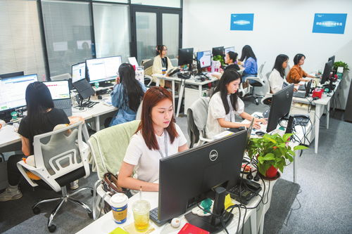 ?？诩铀贁祿缇硺I務發展，打造數字高地與軟件開發新引擎