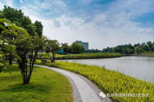 匠心筑景，綠韻迎賓——記2016年度杭州市優秀園林綠化工程道路組金獎項目 杭州蕭山國際機場迎賓專用道路及環境提升工程景觀綠化與養護